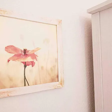 Apartment Altbau-schmuckstueck An Der Karli Mit Riesigem Balkon