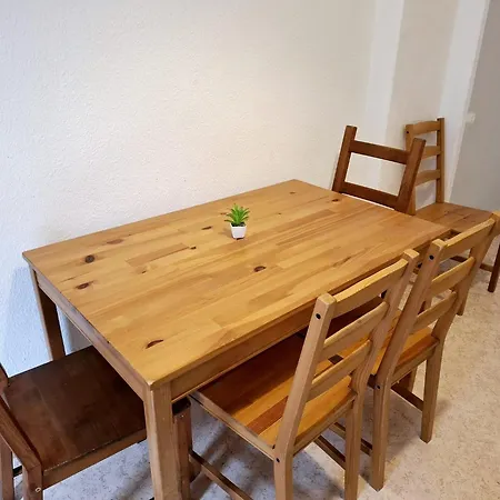 Apartment Altbau-schmuckstueck An Der Karli Mit Riesigem Balkon *