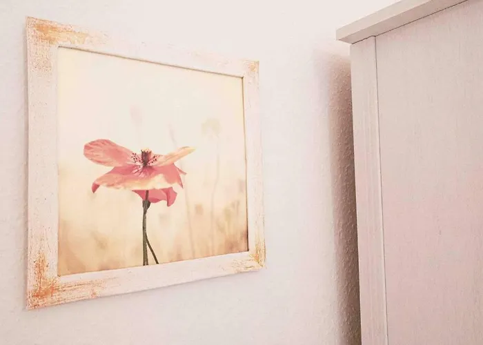 Apartament Altbau-schmuckstueck An Der Karli Mit Riesigem Balkon