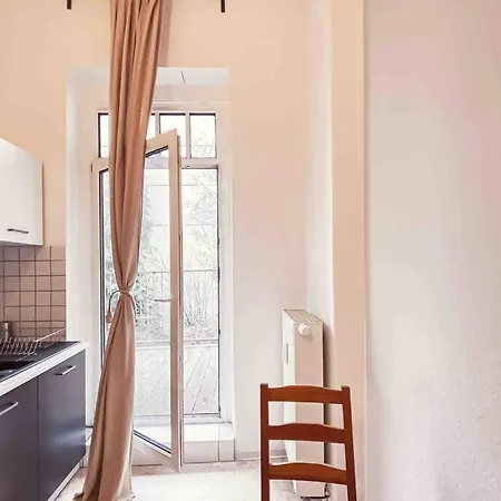 Apartment Altbau-schmuckstueck An Der Karli Mit Riesigem Balkon *