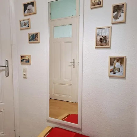 Altbau-schmuckstueck An Der Karli Mit Riesigem Balkon