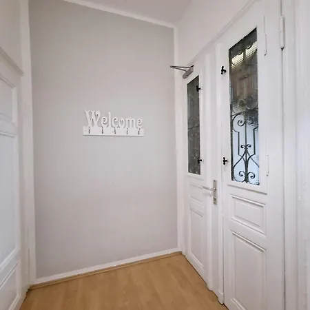 Apartment Altbau-schmuckstueck An Der Karli Mit Riesigem Balkon *