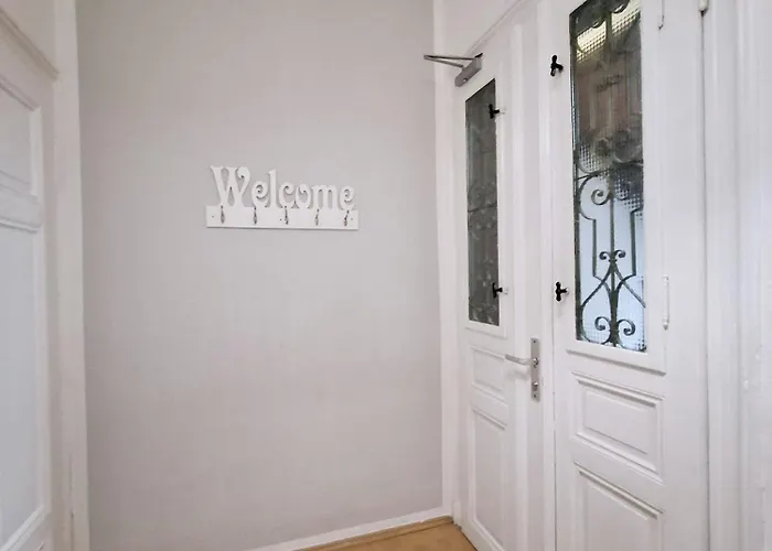 Appartement Altbau-schmuckstueck An Der Karli Mit Riesigem Balkon *